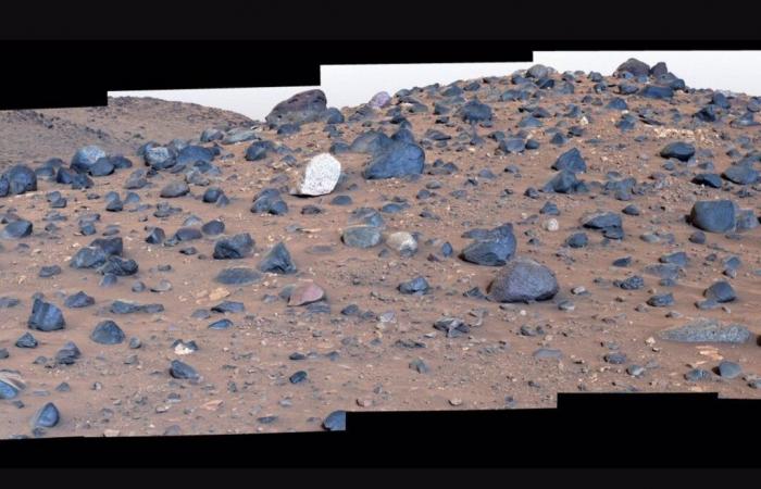 Perseverance takes a shortcut through a river on Mars to find a unique rock
