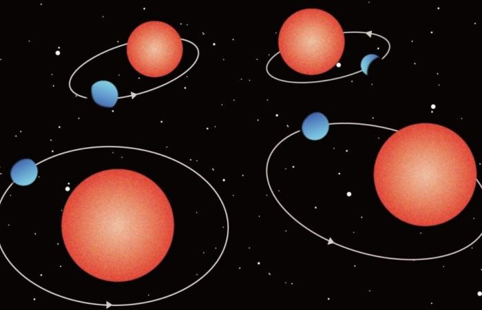 Mysterious mini-Neptunes discovered orbiting red dwarfs