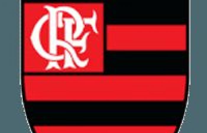 ◉ Flamengo vs. Grêmio live: I followed the match minute by minute