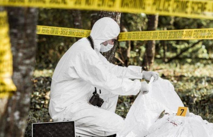 They find a suitcase with a dismembered body on the outskirts of Bogotá