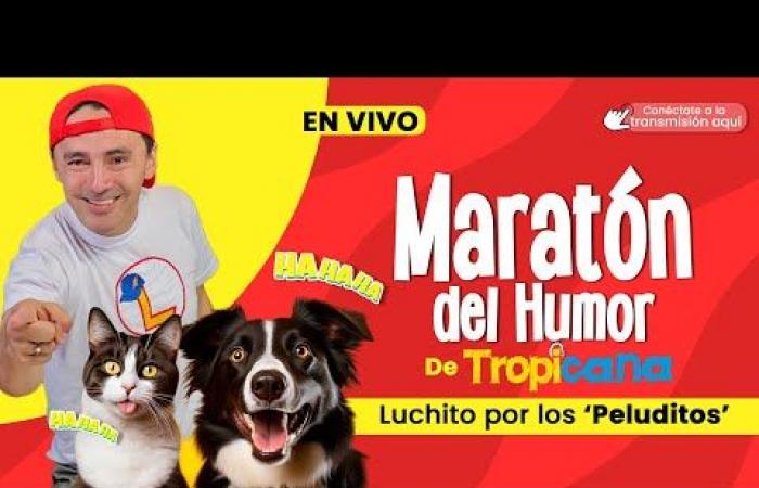 Humor Marathon with Luchito for the furry ones