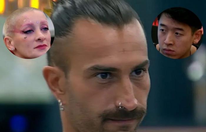 Licha’s brutal economic strategy to save Chino’s life and ends with Fury in Big Brother: “To die”