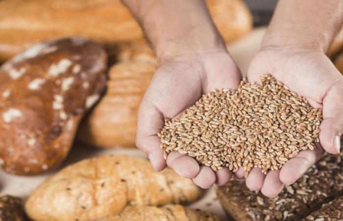 Changes in the diet of Latin Americans drive popularity of functional and gluten-free foods