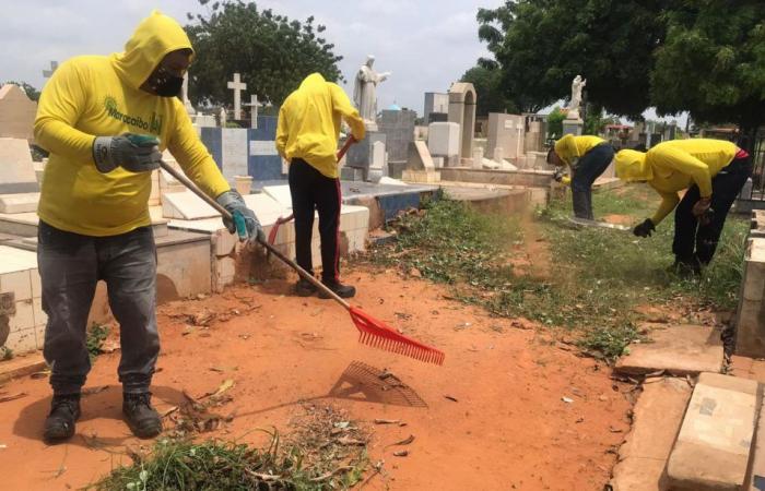 They clean the Corazón de Jesús and San José cemeteries on the eve of Father’s Day