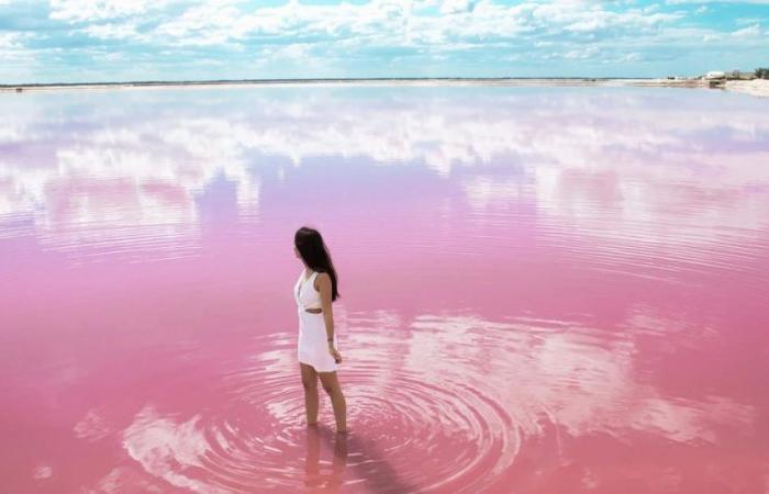 New study revealed why Australia’s spectacular Lake Hillier is pink