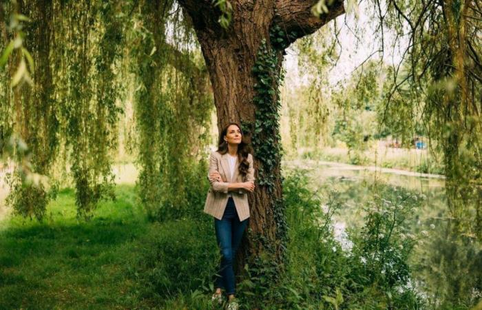PHOTO KATE MIDDLETON | Kate Middleton: everything the comeback photo hides