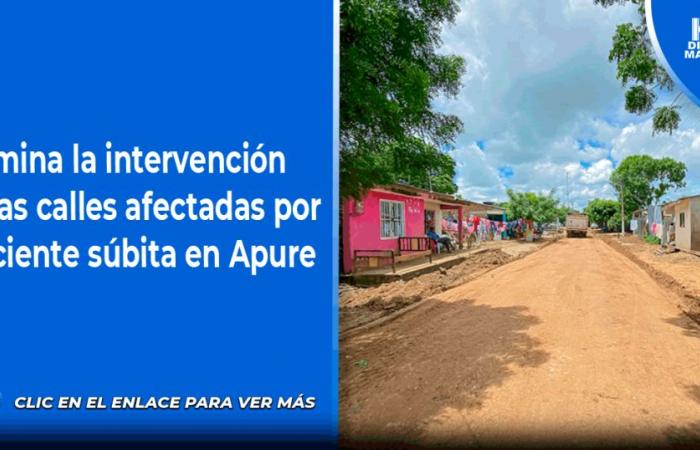The intervention of the streets affected by sudden flooding in Apure culminates