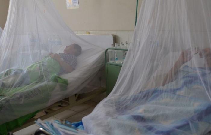 Deaths due to dengue increase to 8 in Huila