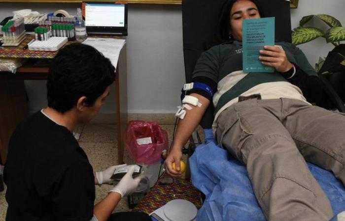 World Blood Donor Day: 52% of Santa Fe residents do so voluntarily