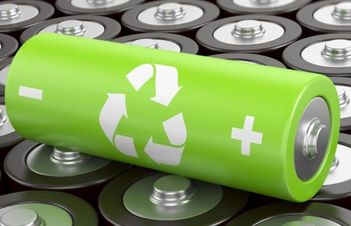 The battery recycling sector asks the Government for a framework for its development