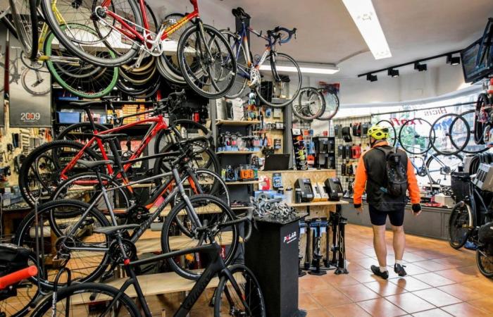 Bike sales are falling again and the sector attributes this to the lack of support for sustainable mobility | Climate and Environment
