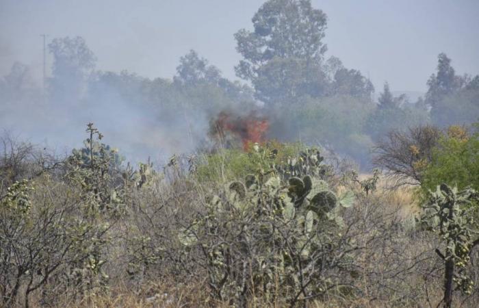 JEC sent machinery to fight fires in SLP – El Sol de San Luis