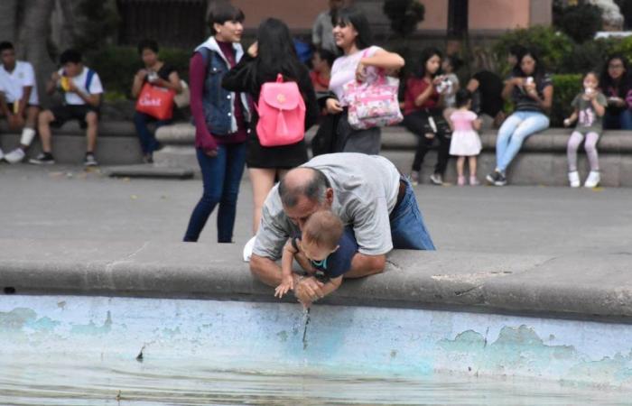 6 free events to celebrate Father’s Day in SLP – El Sol de San Luis