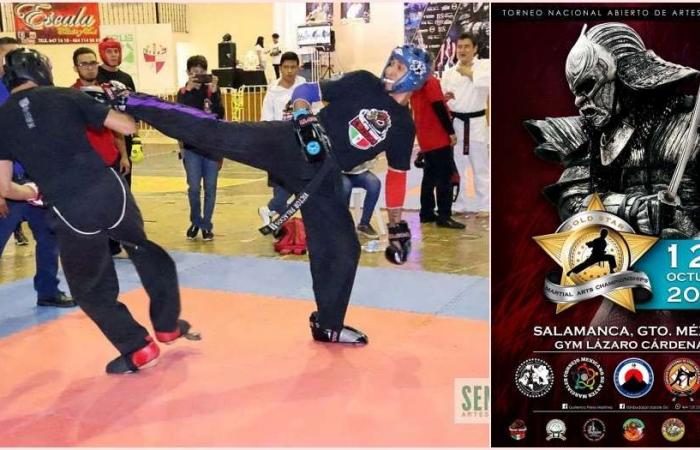 Martial arts practitioners get ready for the “Gold Star” National Open 2024