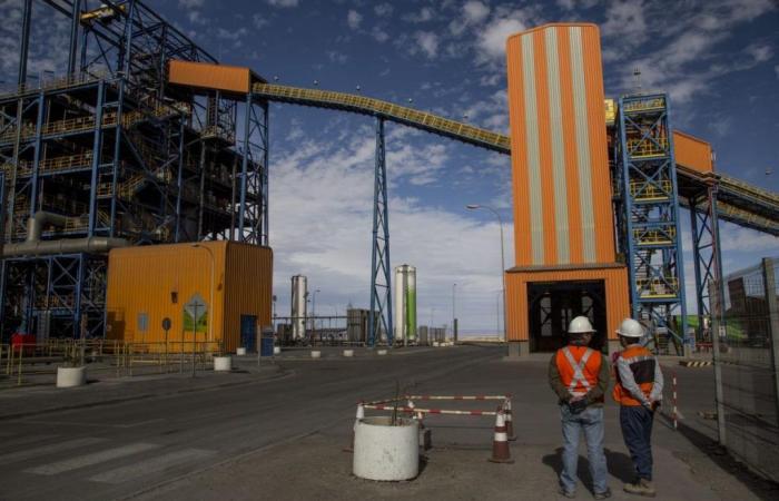 Spence mine union in Chile accepts BHP salary offer