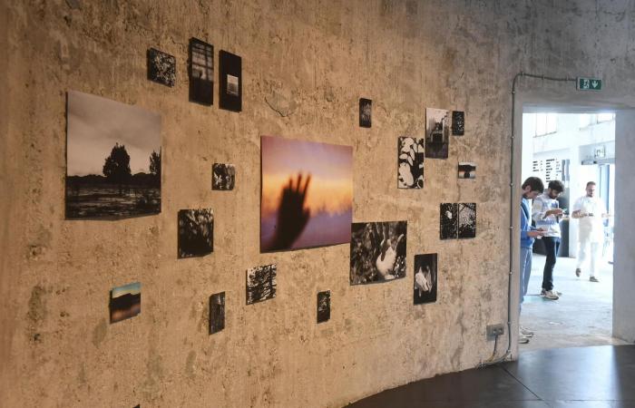 This is the new exhibition of the Marta Ortega Foundation at the Battery Pier
