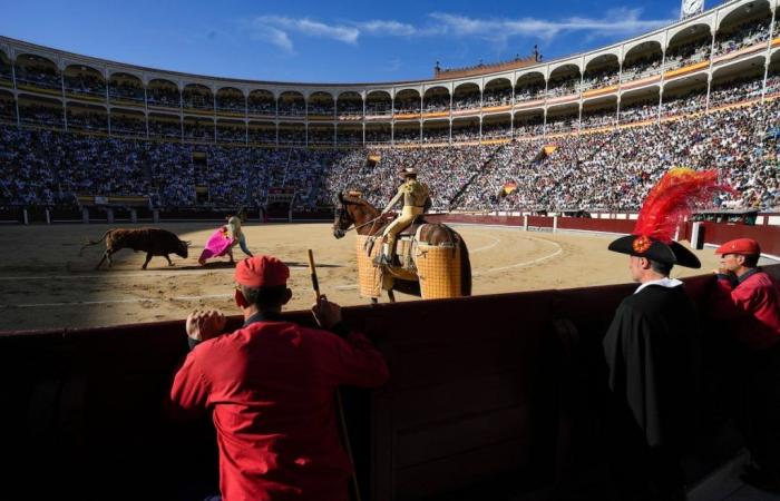 San Isidro 2024, a crowd of spectators for a denatured bullfighting festival | The bull, by the horns | Culture