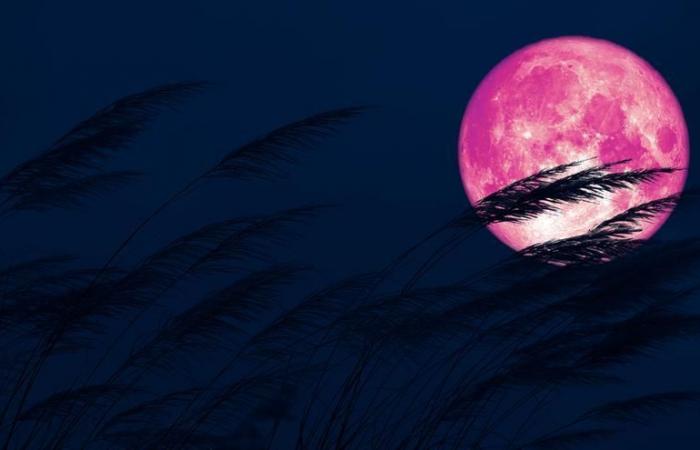 FULL MOON 2024 | When is the full moon in June and why is it called the strawberry moon?