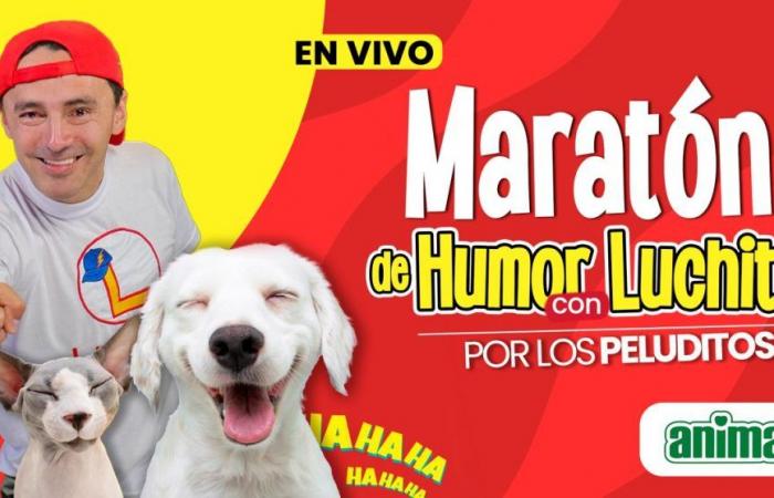 Humor Marathon with Luchito for the furry ones