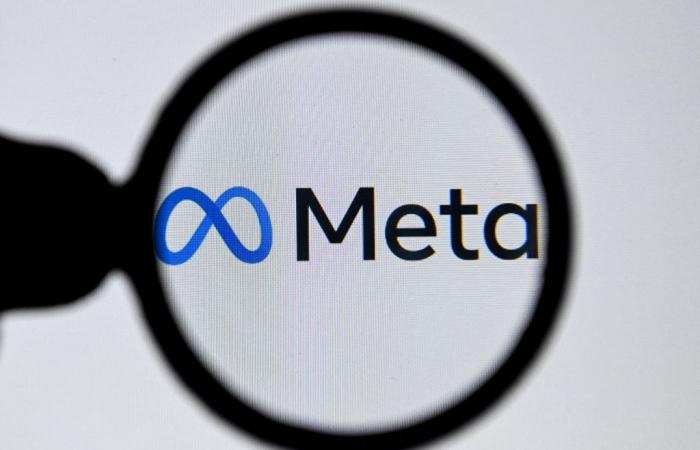 Meta backs down and will not use images from Facebook and Instagram to train its AI in Europe
