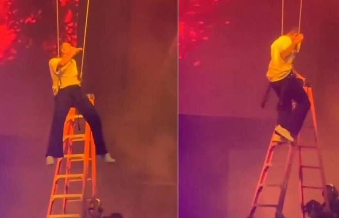 Chris Brown became enraged after being suspended in the air while giving a presentation
