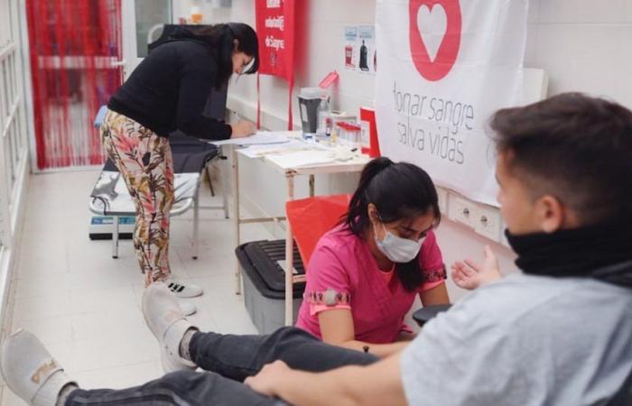 During the next long weekends you will also be able to donate blood