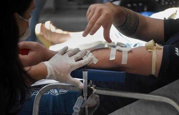 World Blood Donor Day: 52% of Santa Fe residents do so voluntarily