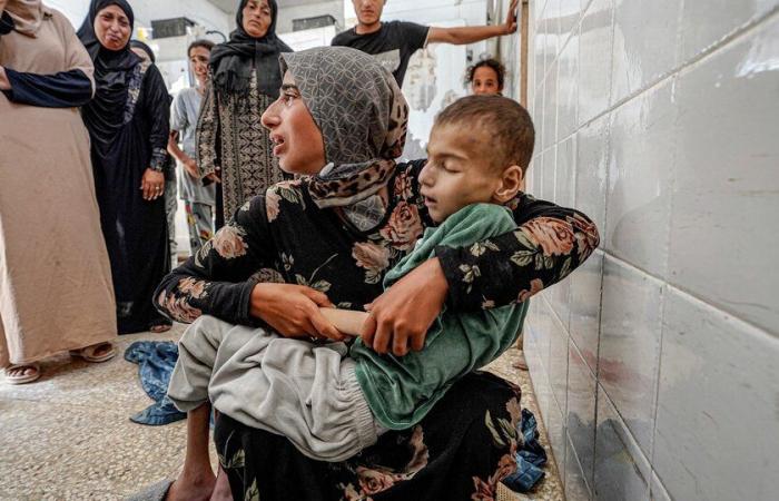 The death of a child brings the number of victims of hunger in the Gaza Strip to 40 | 82 thousand minors present symptoms of malnutrition in the Palestinian enclave