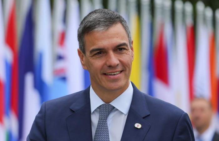 The Spanish Government anticipated what attitude Pedro Sánchez will have if he meets Javier Milei at the Peace Summit