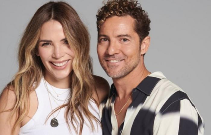 The romantic words of David Bisbal to his wife, Rosanna Zanetti, after the scare they experienced with their children