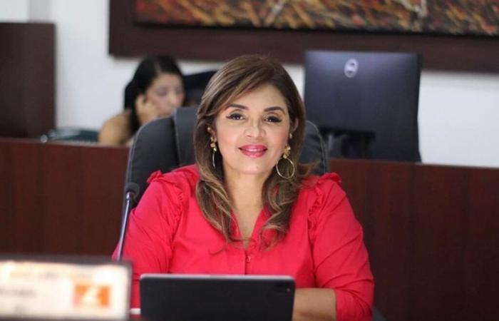 Casanare Administrative Court declares annulment of the election of commissions due to gender discrimination