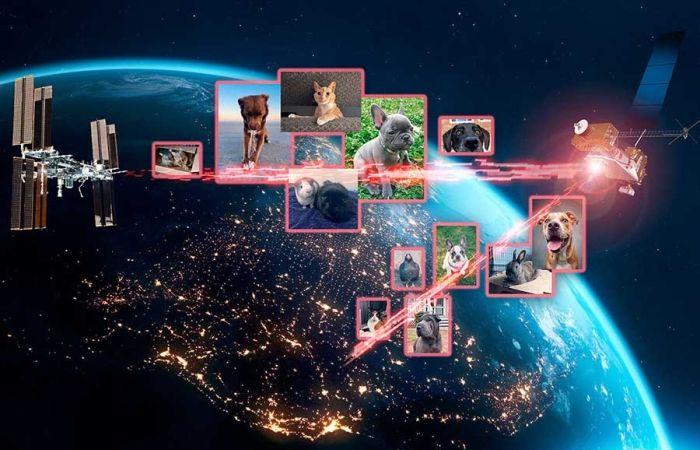 Wow! NASA sends 500 pet photos into space with its new laser system