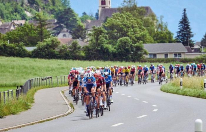 Tour of Switzerland 2024: GENERAL classification after stage 7