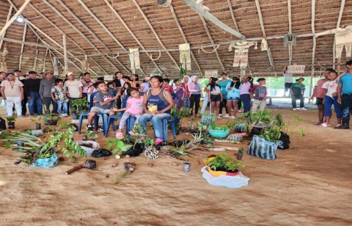 NTN24’s Click Verde explored “Aula Viva”: An environmental and cultural initiative in the Colombian Amazon