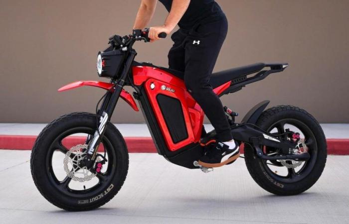 This is the E-Clipse, one of the most versatile and interesting electric motorcycles of this year