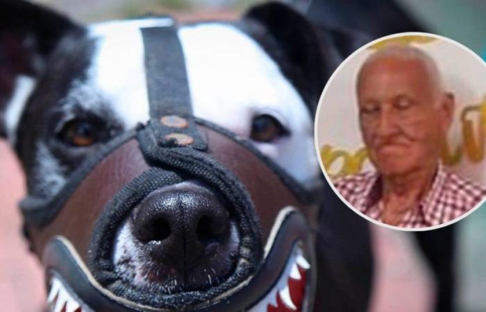 Elderly adult died after being attacked by a pitbull dog that he owned