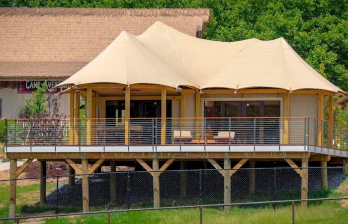 Six Flags opens luxury hotel including safari near New…