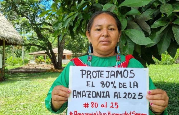 71% of the Amazon is unprotected by the main banks that finance oil and gas extraction in the region