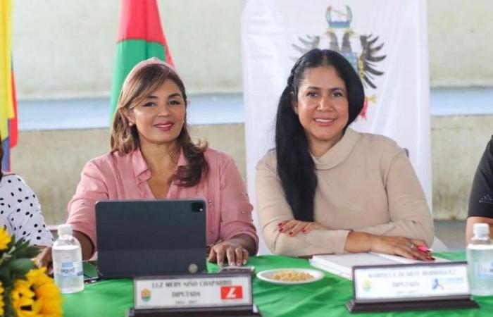 Casanare Administrative Court declares annulment of the election of commissions due to gender discrimination