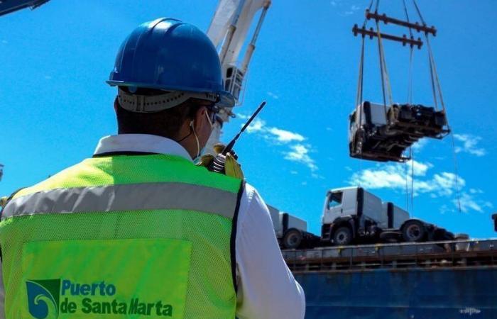 Port of Santa Marta opens new job offers