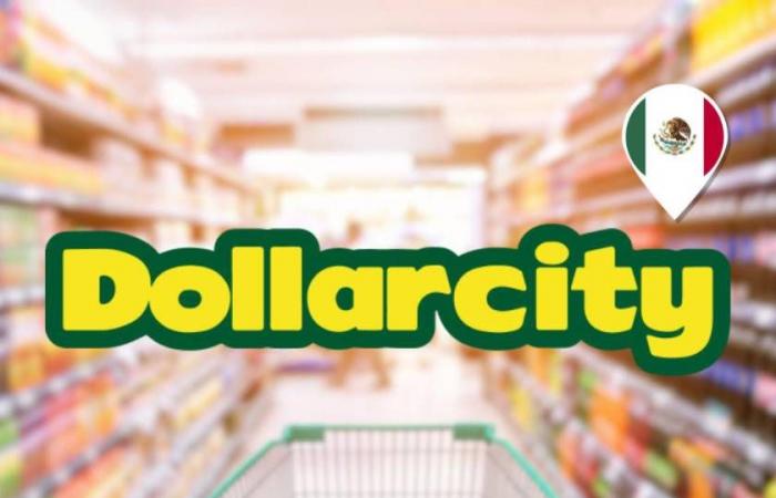 The Dollarcity chain prepares its landing in Mexico