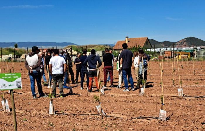 Growing almonds and hazelnuts in La Rioja Alta is possible