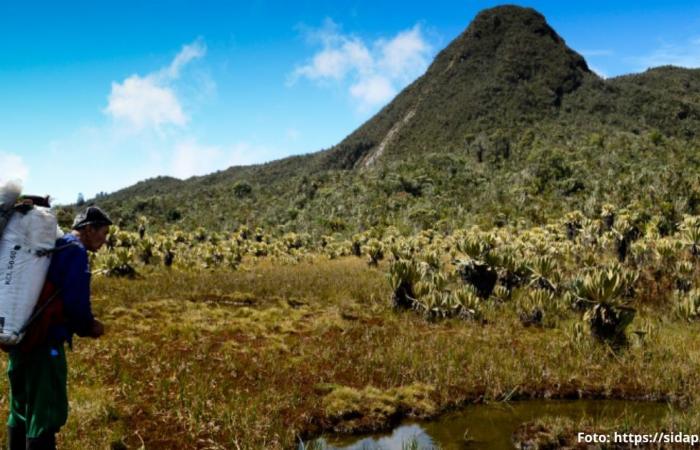 This is the most preserved paramo in Colombia and the legend of the elf that protects it