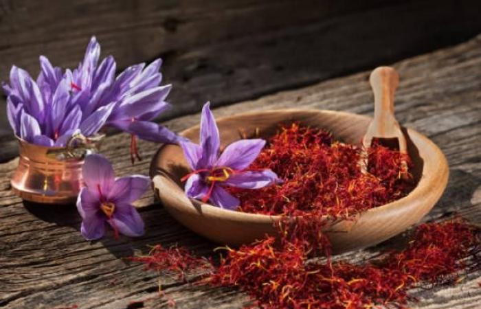 Afghanistan’s saffron, the exquisite “red gold” grown by women