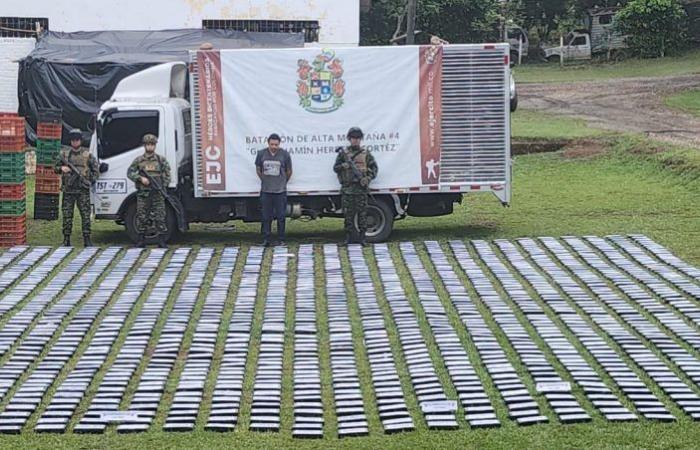 They seize 1.15 tons of cocaine in the department of Cauca