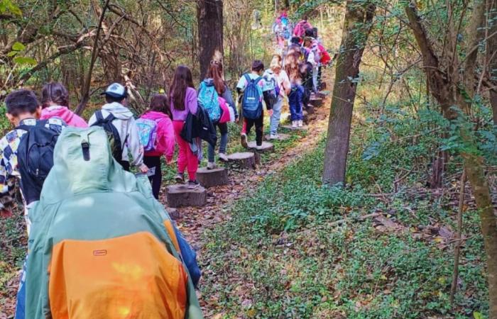 More than 20 schools visited the Enrique Berduc Rural School Park to enjoy nature – General Council of Education