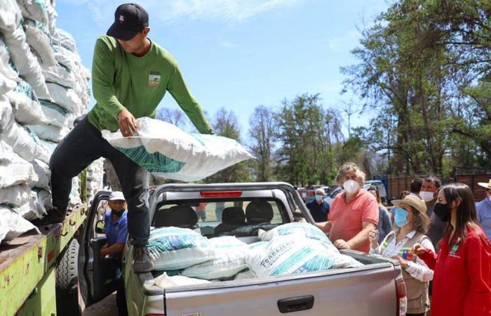 Aid delivery began in Chile to producers affected by rains