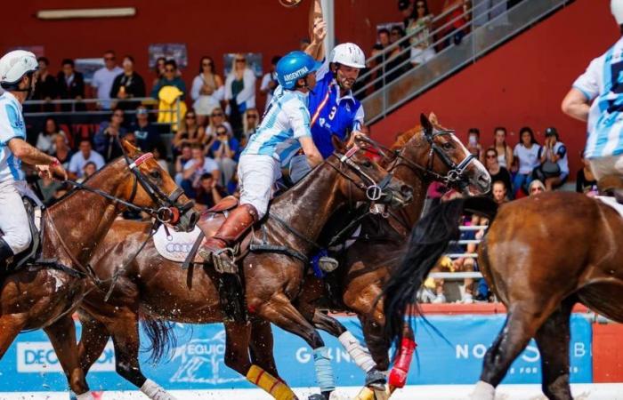 Horseball: the equestrian sport that promises to revolutionize Argentina