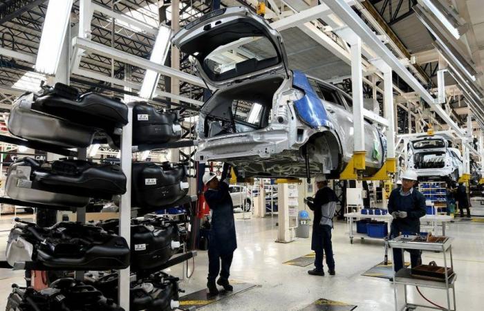 New models that Kia will assemble in Aymesa, in 2025 and 2026, will also go to Colombia and Venezuela | Economy | News