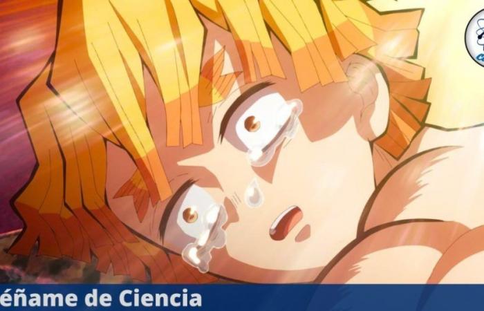 Demon Slayer PREMIERE chapter 6 UNRELEASED scenes fourth season – Teach me about Science